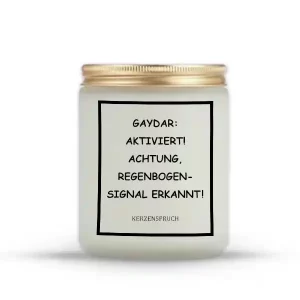 „GAYDAR: AKTIVIERT! ACHTUNG, REGENBOGEN-SIGNAL ERKANNT!“