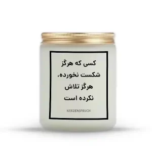 کسی که هرگز شکست نخورده، هرگز تلاش نکرده است