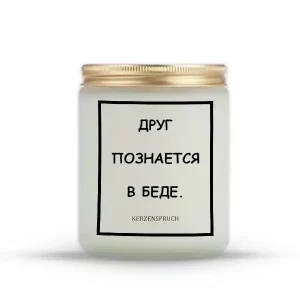 "ДРУГ ПОЗНАЕТСЯ В БЕДЕ."