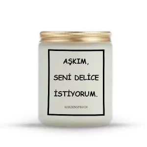 "AŞKIM, SENİ DELİCE İSTİYORUM."