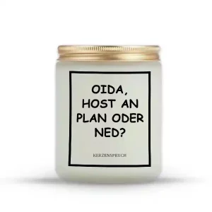 „OIDA, HOST AN PLAN ODER NED?“