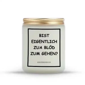 „BIST EIGENTLICH ZUA BLÖD ZUM GEHEN?“