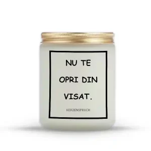 "NU TE OPRI DIN VISAT."